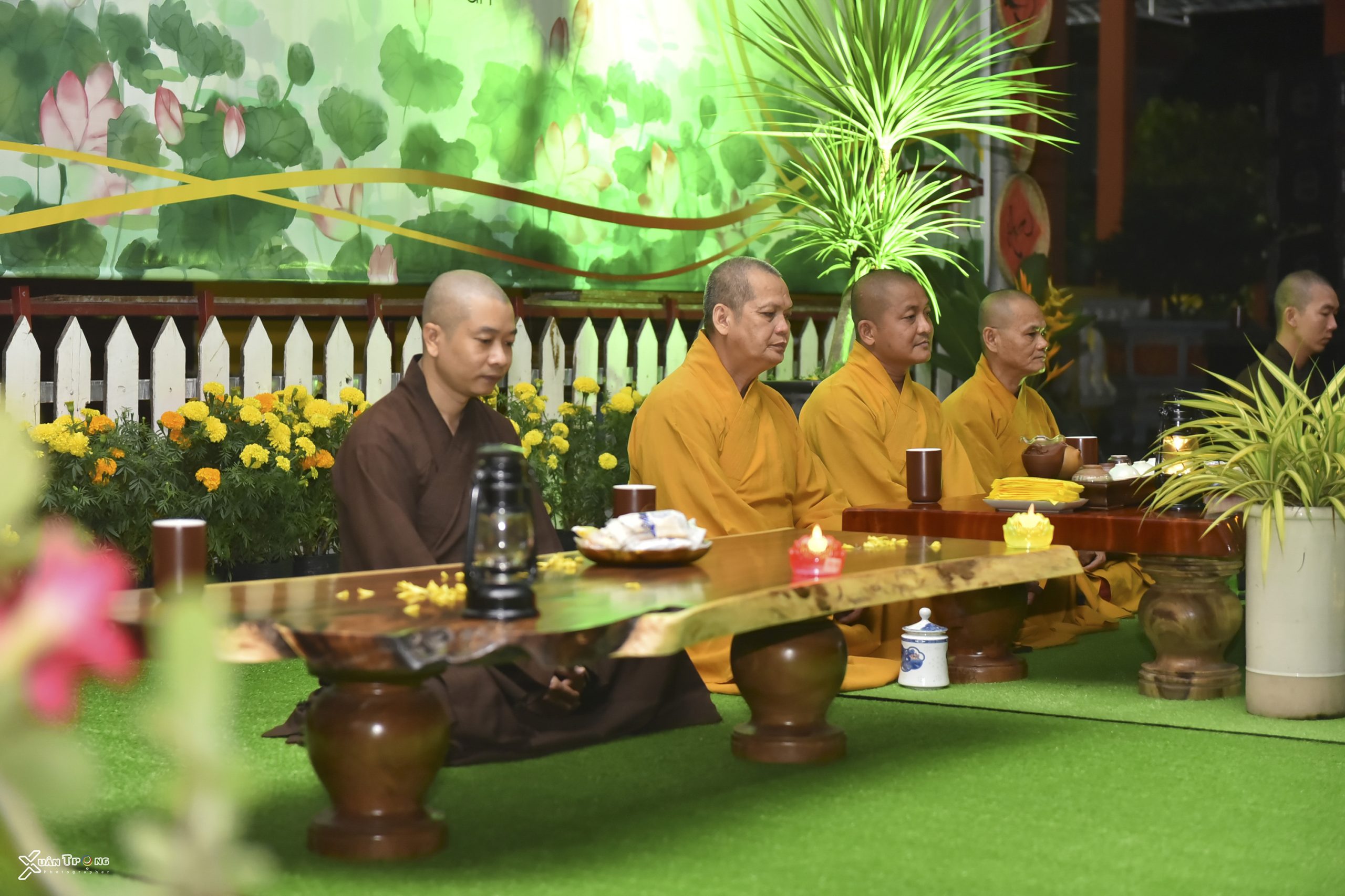 xtp_2170-scaled-1